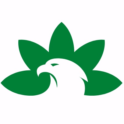 Nasx icon